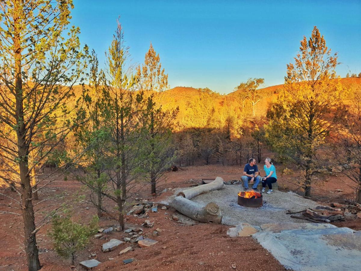 Skytrek Willow Springs Station Luaran gambar